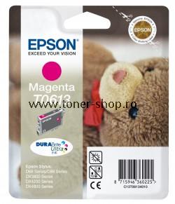  Epson T0613