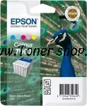  Epson C13T00101110