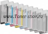 Cartus cerneala Epson C13T606900