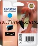  Epson C13T08724010