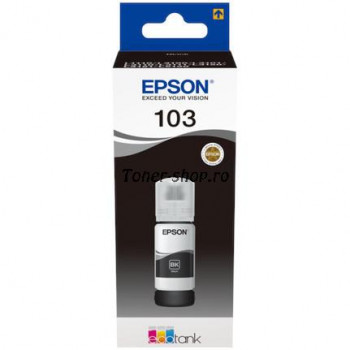 Cartuse cerneala Epson C13T00S14A