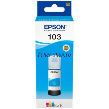 Cartuse cerneala Epson C13T00S24A