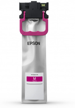  Epson C13T01C300